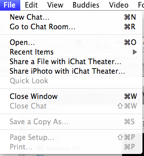 File Menu